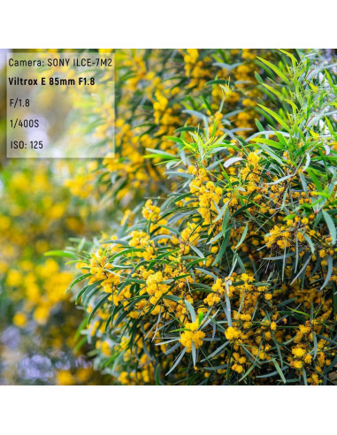 Lente VILTROX 85mm F1.8 II AF para Cámaras Sony E-Mount