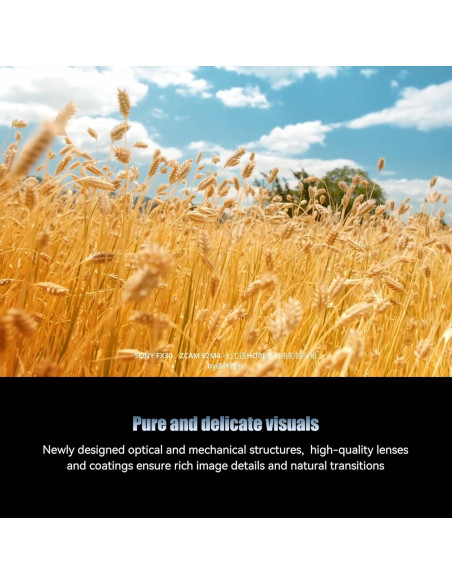 Lente de Cine 7artisans 10mm T2.1 para Montura MFT