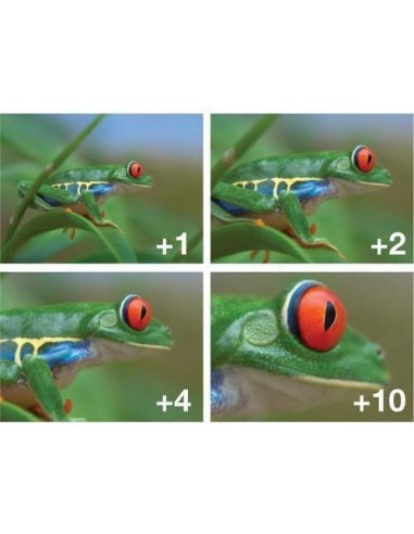 Kit de Lentes y Filtros OPTURA HD 52mm para Nikon D3200 D3000