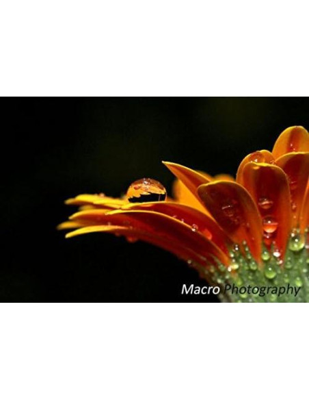 Lente Ojo de Pez Pro HD 0.35x para Nikon Z 50 46mm Lente Ojo de Pez Pro HD 0.35x para Nikon Z 50 46mm