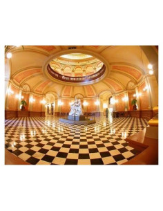 Lente ojo de pez 0.35x Hila 46mm para Panasonic LUMIX G