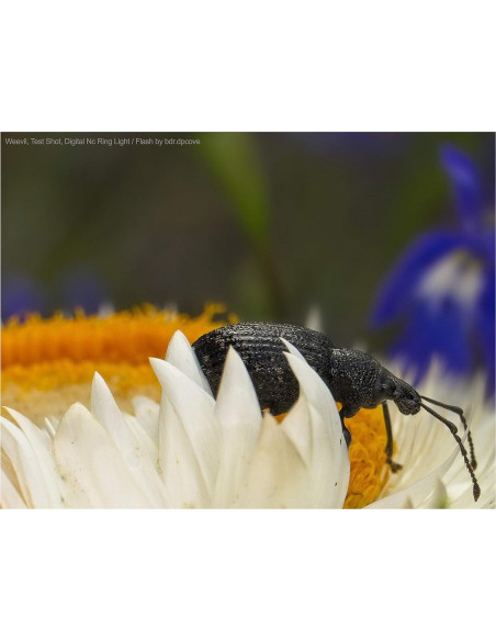 Luz en Anillo LED Macro Digital Nc MR48 para Olympus Luz en Anillo LED Macro Digital Nc MR48 para Olympus