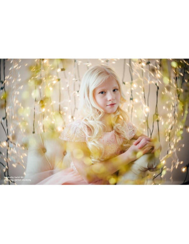 Objetivo Lensbaby Twist 60 mm f2.5 para Nikon F - Dorado