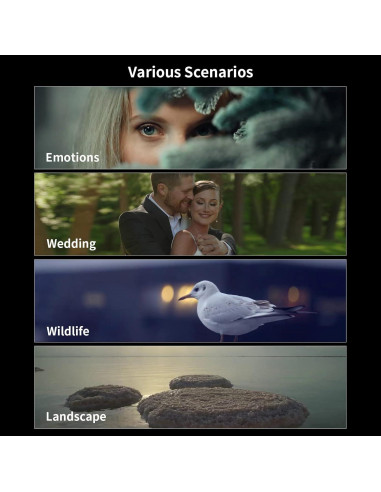 Lente Anamórfico SIRUI 135mm T2.9 1.8X Montura E