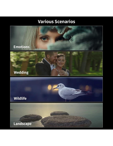 Lente Anamórfico SIRUI 135mm T2.9 1.8X Montura E Lente Anamórfico SIRUI 135mm T2.9 1.8X Montura E