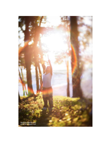 Lente Composer Pro II Lensbaby Edge 80 para Canon EF