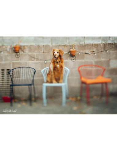 Lente Composer Pro II Lensbaby Edge 50mm f/3.2