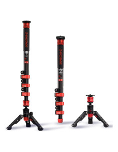 Monopod Telescópico IFOOTAGE Cobra 2 C150 II 150cm Carbono