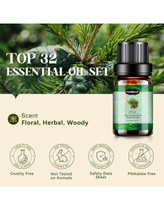 Juego de 32 Aceites Esenciales 5ml - Aromaterapia Hanolly 2