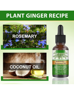 Combo Aceite de Romero Orgánico 4x30ml - Crecimiento Cabello 2