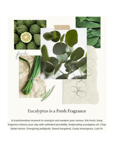 Baño de Burbujas Thymes Eucalipto 340 ml - Hidratante