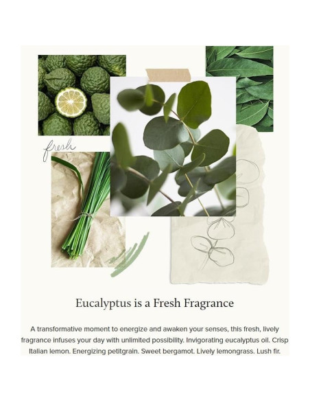 Baño de Burbujas Thymes Eucalipto 340 ml - Hidratante