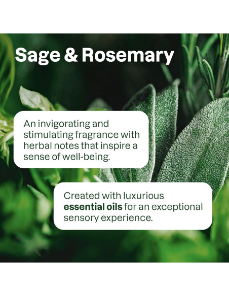 Gel de Ducha y Champú 2 en 1 ATTITUDE Salvia y Romero 1.99 L