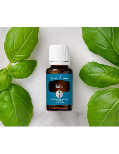 Aceite Esencial de Albahaca Young Living 15ml - Alivio Muscular y Aromaterapia