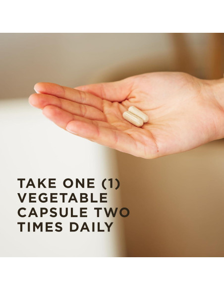 Solgar Ester-C Plus 500 mg Vitamina C Vegetal - 50 Cápsulas