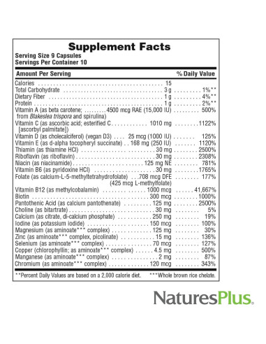 Multivitamínico Natures Plus Fuente de Vida Oro 90 Cápsulas