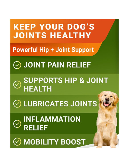 Galletas de Glucosamina para Perros STRELLALAB 120 Ct - Sabor Tocino