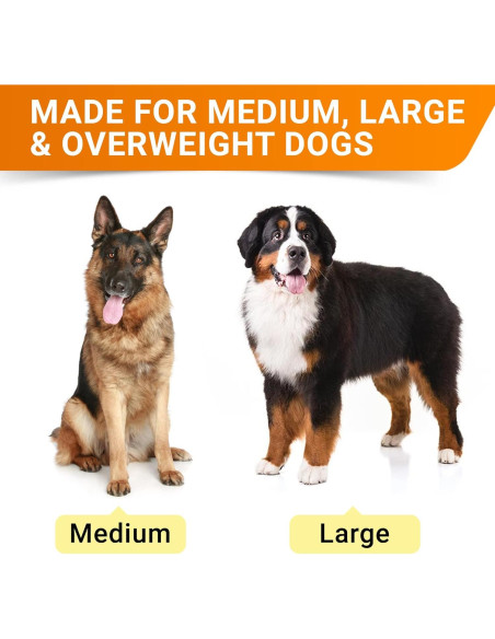 Suplemento de Glucosamina para Perros STRELLALAB 240 Golosinas Pollo