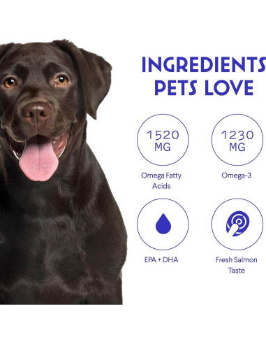 Aceite de Pescado para Perros Wonder Paws Omega 3 - 473 ml