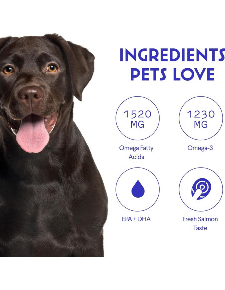 Aceite de Pescado para Perros Wonder Paws Omega 3 - 473 ml