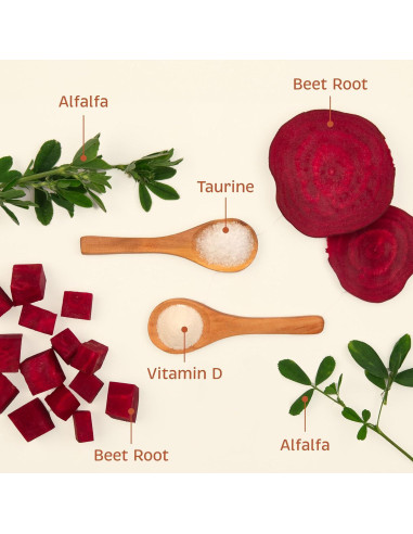 Suplemento Salud Integral para Perros Standard Process 90 Tabletas