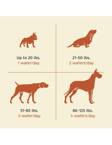 Suplemento Salud Integral para Perros Standard Process 90 Tabletas