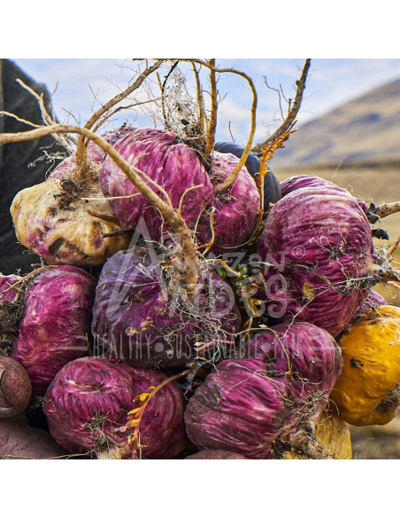 Cápsulas de Maca Premium Amazon Andes 3000mg - Energía y Rendimiento