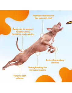 Suplemento Articulaciones Mascotas NPE - Cúrcuma 170g 2