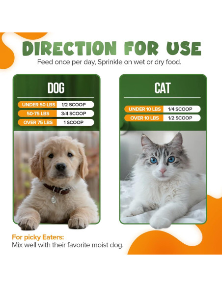 Suplemento Articulaciones Mascotas NPE - Cúrcuma 170g