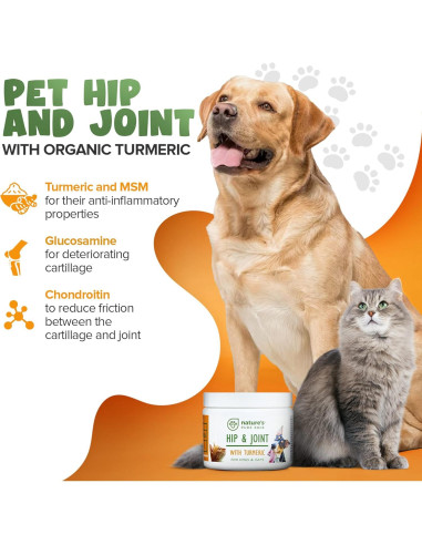 Suplemento Articulaciones Mascotas NPE - Cúrcuma 170g