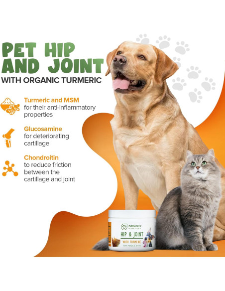 Suplemento Articulaciones Mascotas NPE - Cúrcuma 170g