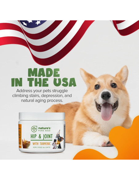 Suplemento Articulaciones Mascotas NPE - Cúrcuma 170g