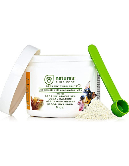 Suplemento Articulaciones Mascotas NPE - Cúrcuma 170g