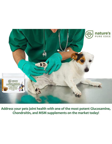 Suplemento Articulaciones Mascotas NPE - Cúrcuma 170g