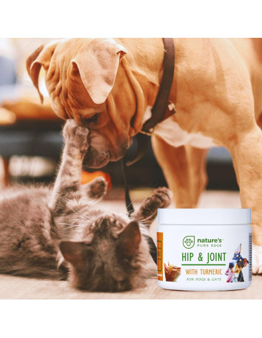 Suplemento Articulaciones Mascotas NPE - Cúrcuma 170g