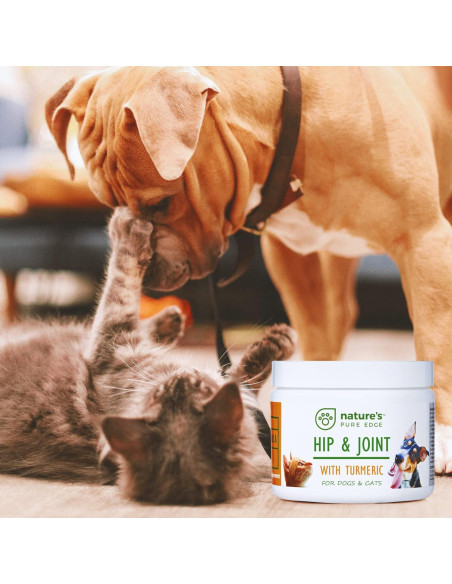 Suplemento Articulaciones Mascotas NPE - Cúrcuma 170g