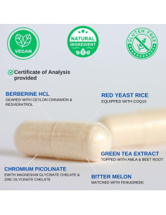 Suplemento de Berberina y Canela Vinatura 500mg 13 en 1 2