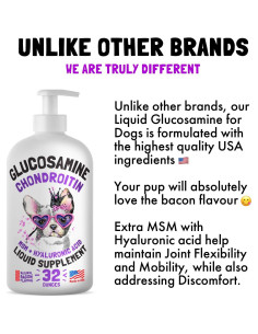 Glucosamina Líquida para Perros LEGITPET 0.95L Sabor Bacon 2