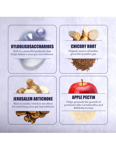 Prebióticos Nation Health MD - 90 Cápsulas Digestión y Bienestar