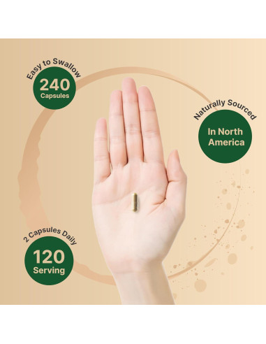 NatureBell Hierba de San Juan 9000mg 240 Cápsulas Extracto Herbal