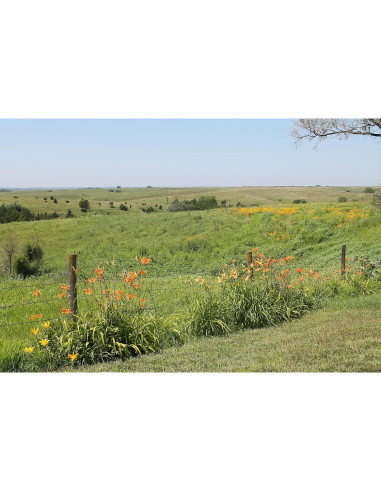 Polen de Abeja Crudo Prairie River 227g - Fresco y Natural