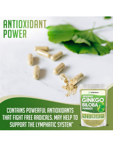 Polvo Orgánico de Ginkgo Biloba XPRS Nutra 453.6 g - Suplemento Vegano
