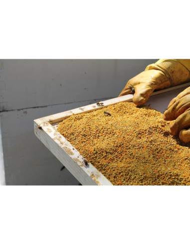 Polen de Abeja Crudo Prairie River 0.68kg Natural Nebraska