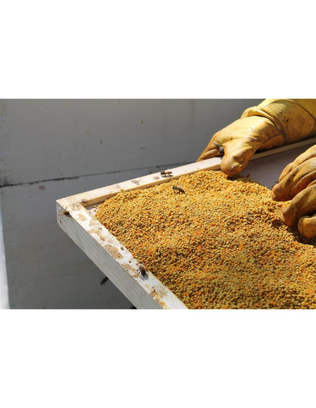 Polen de Abeja Crudo Prairie River 0.68kg Natural Nebraska