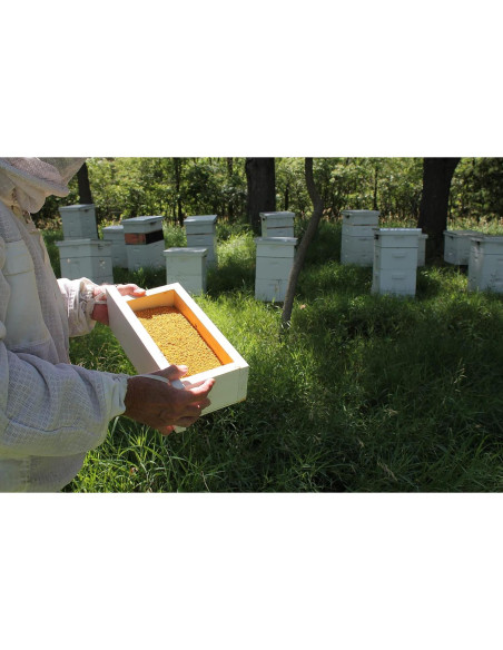 Polen de Abeja Crudo Prairie River 0.68kg Natural Nebraska