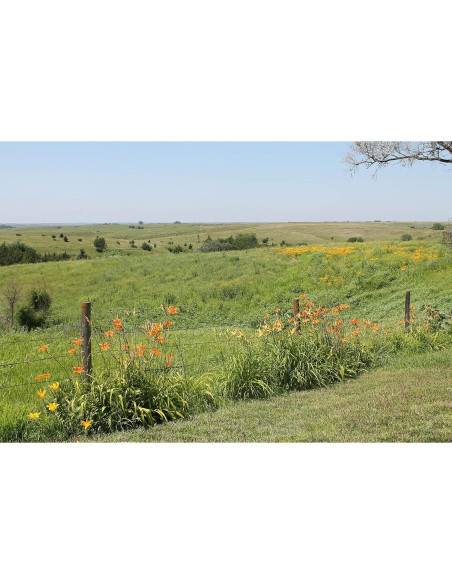 Polen de Abeja Crudo Prairie River 0.68kg Natural Nebraska