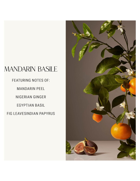 Crema de Manos Homecourt Mandarina Basile 354 ml Hidratante