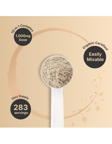 Polvo de Champiñón Orgánico NatureBell 283g - Mezcla 10-en-1