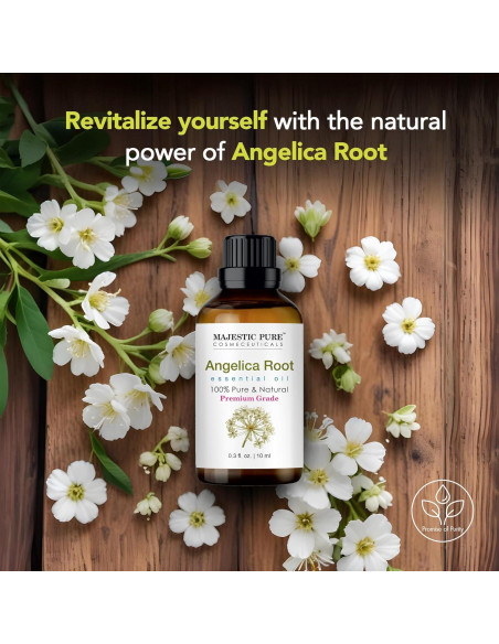 Aceite Esencial de Raíz de Angélica Majestic Pure 8.8 ml Aceite Esencial de Raíz de Angélica Majestic Pure 8.8 ml