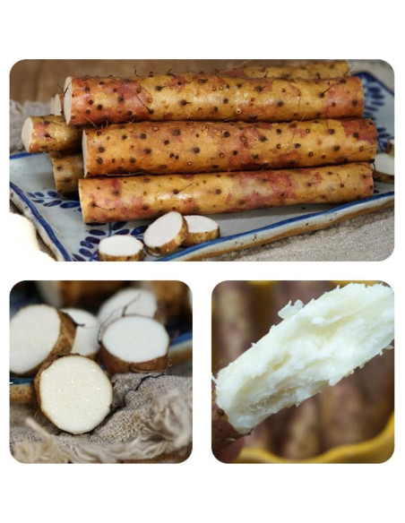 Rodajas de Ñame Chino Seco Shan Yao 200g - Ideal para Sopas